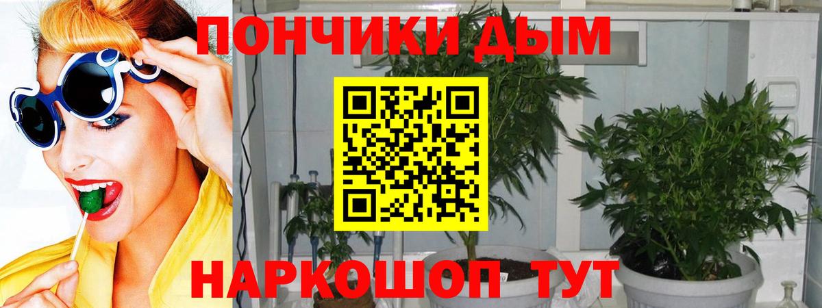 Бошки Шишки гибрид Балашиха